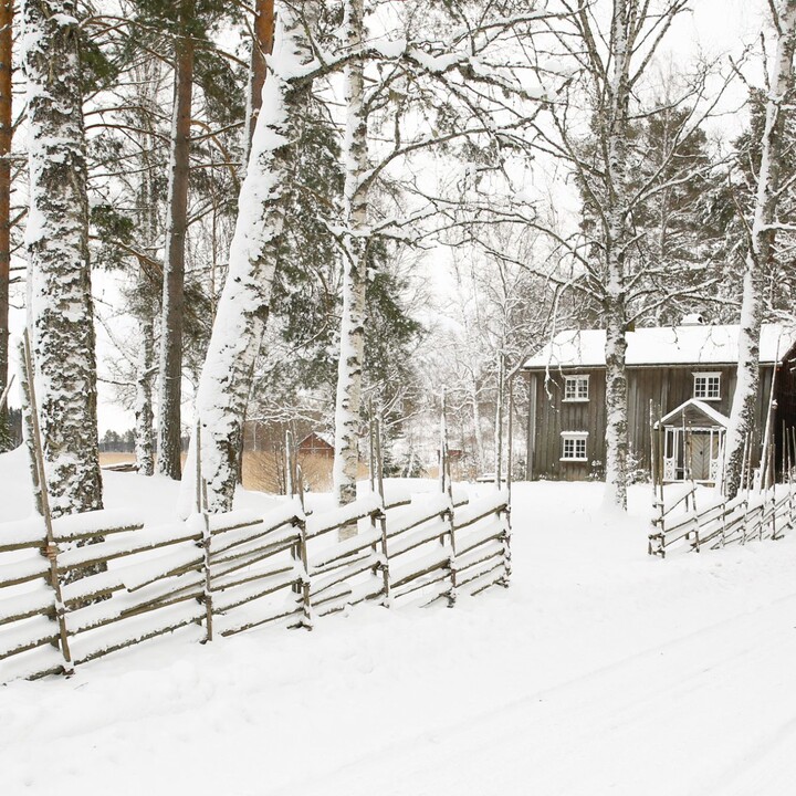 soluppg&aring;ng Brunskogs Hembygdsg&aring;rd